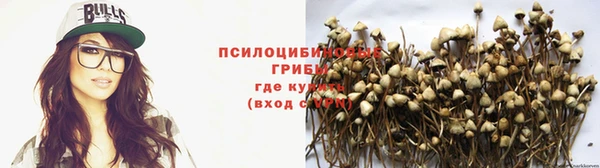 МДПВ Арсеньев