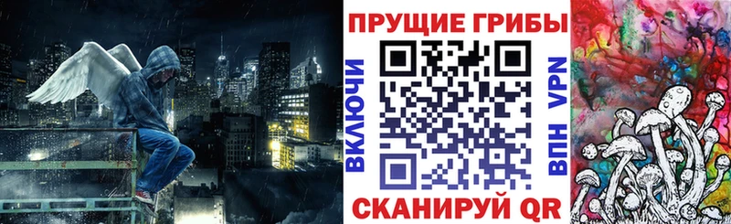 закладки  Бабушкин  Псилоцибиновые грибы ЛСД 